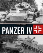 Anderson T. Андерсон Т. - Panzer IV Панцер IV [2024, PDF FB2, RUS]
