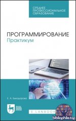 Быкадорова Е.А. - Программирование. Практикум [2025, PDF, RUS]