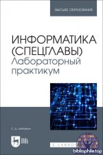 Шибайкин С.Д. - Информатика (спецглавы). Лабораторный практикум [2025, PDF, RUS]