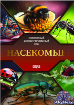 Спектор А.А. - Насекомые. Иллюстрированный гид (Популярный иллюстрированный гид) [2026, PDF, RUS]
