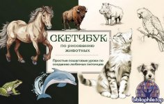 Николаева А.Н. - Скетчбук по рисованию животных. Простые пошаговые уроки по созданию любимых питомцев [2026, PDF, RUS]